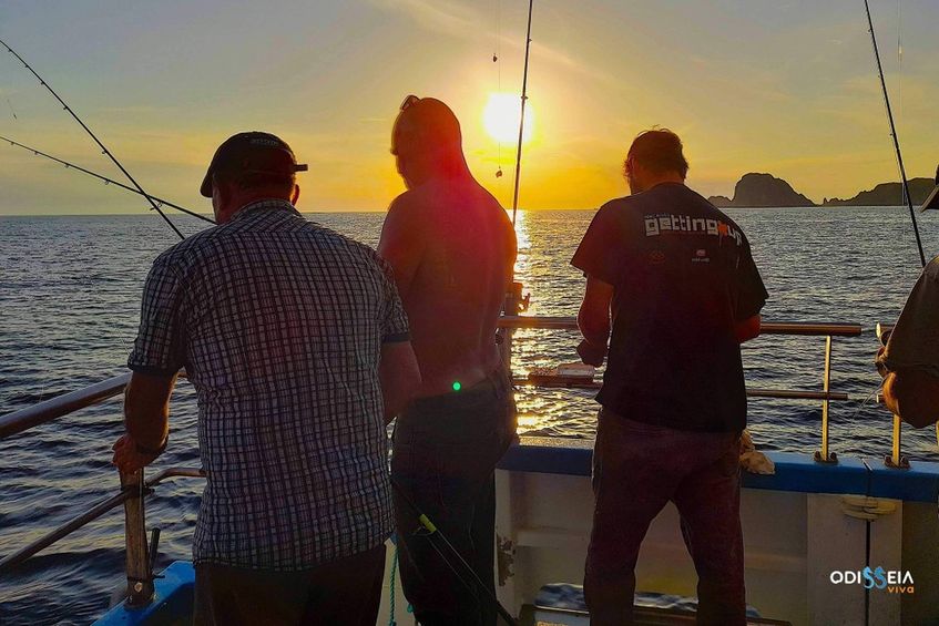 Viagem Ida e Volta à Ilha Berlenga