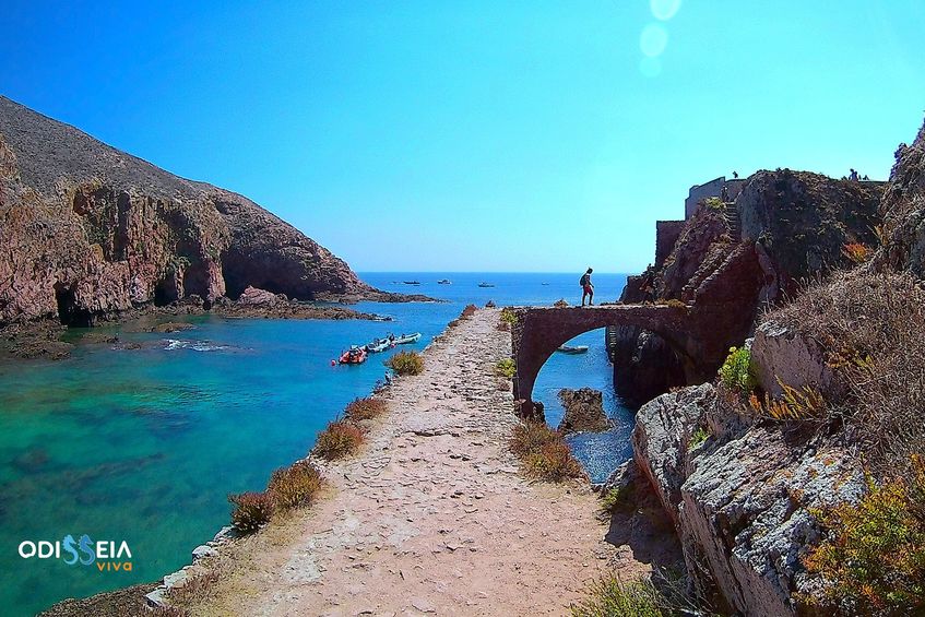 Viagem Ida e Volta à Ilha Berlenga