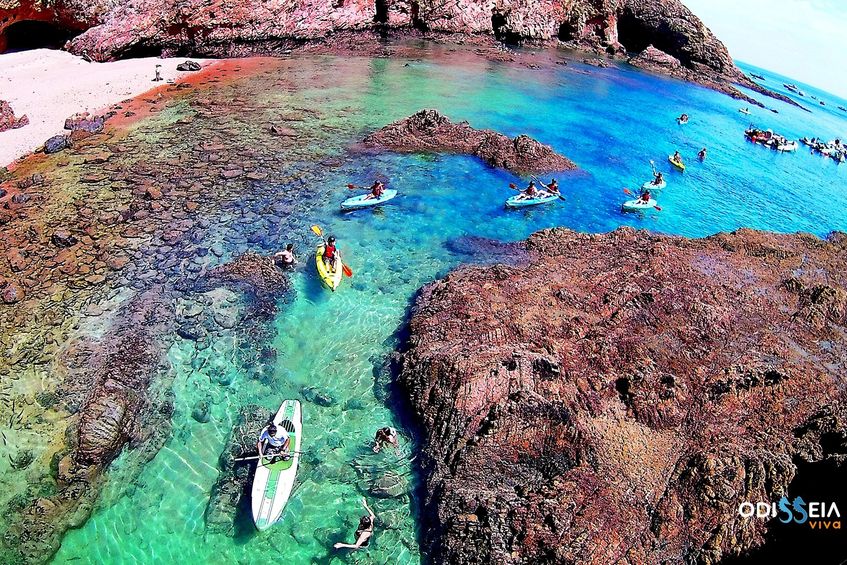 Viagem Ida e Volta à Ilha Berlenga