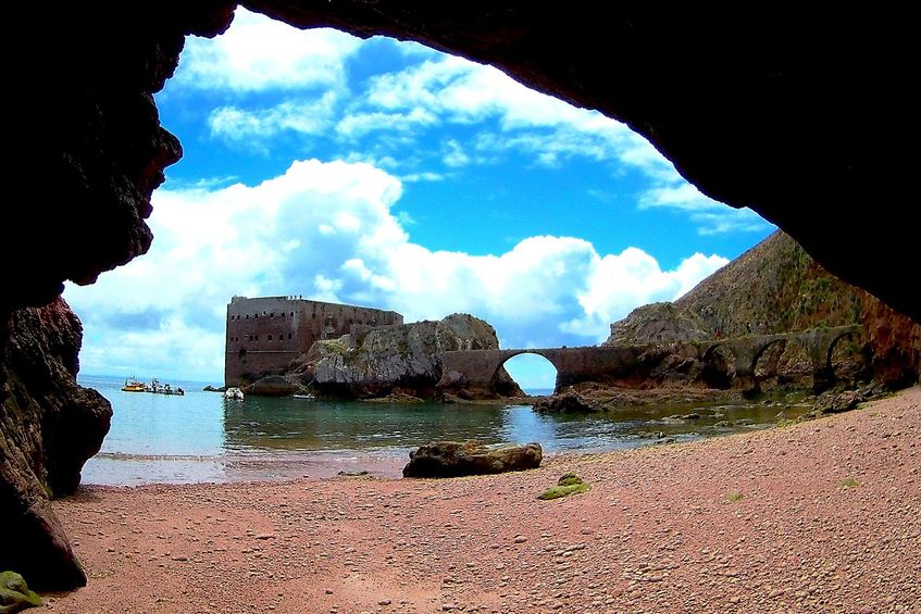 Viagem Ida e Volta à Ilha Berlenga