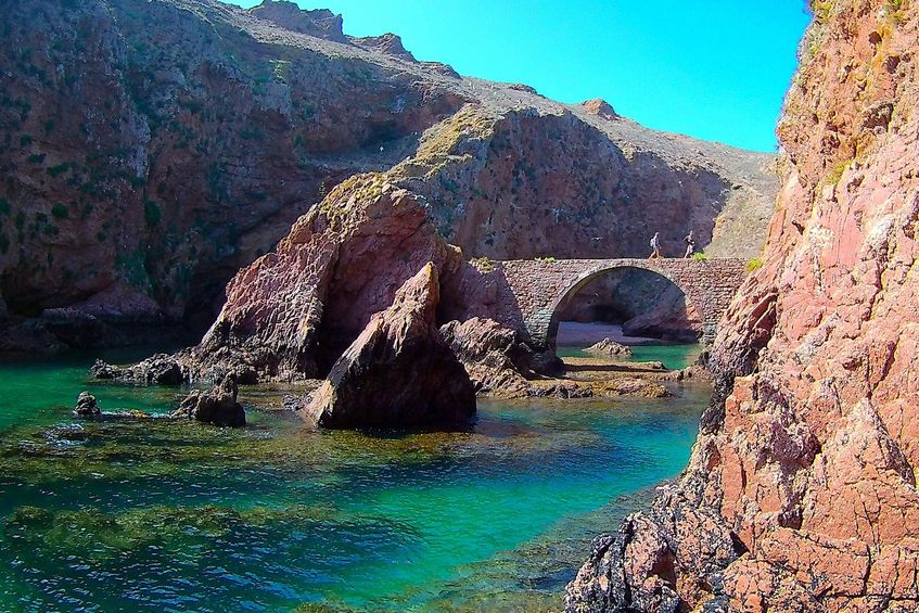 Viagem Ida e Volta à Ilha Berlenga