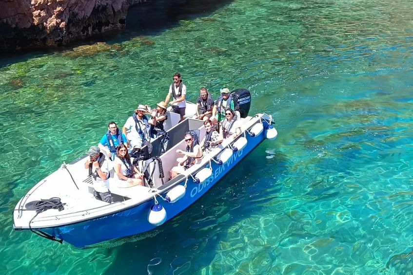 Odisseia Viva - Viagens Barco às Berlengas