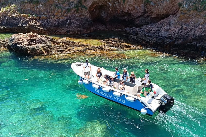 Odisseia Viva - Viagens Barco às Berlengas