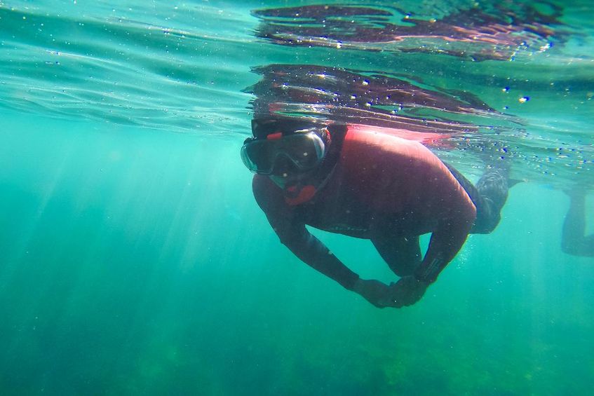 Descobrir o Parque Marinho em Snorkeling