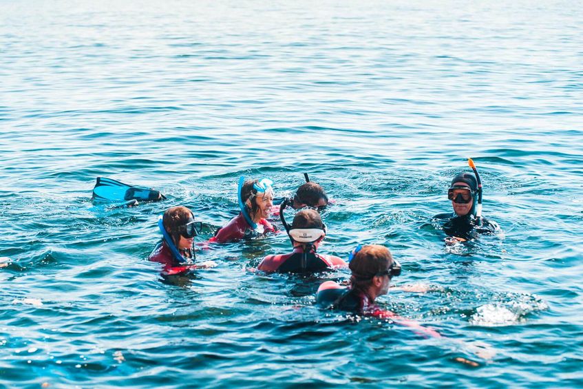 Descobrir o Parque Marinho em Snorkeling