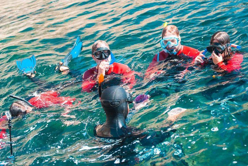 Descobrir o Parque Marinho em Snorkeling