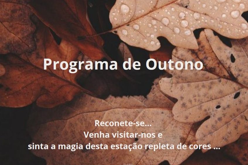 Programa Outono